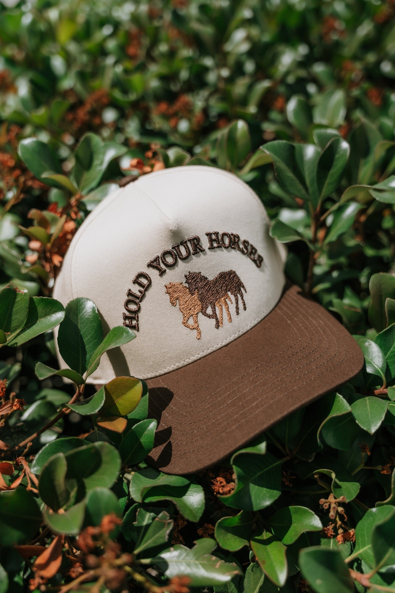 Hold Your Horses - Women's Snapback Hat
